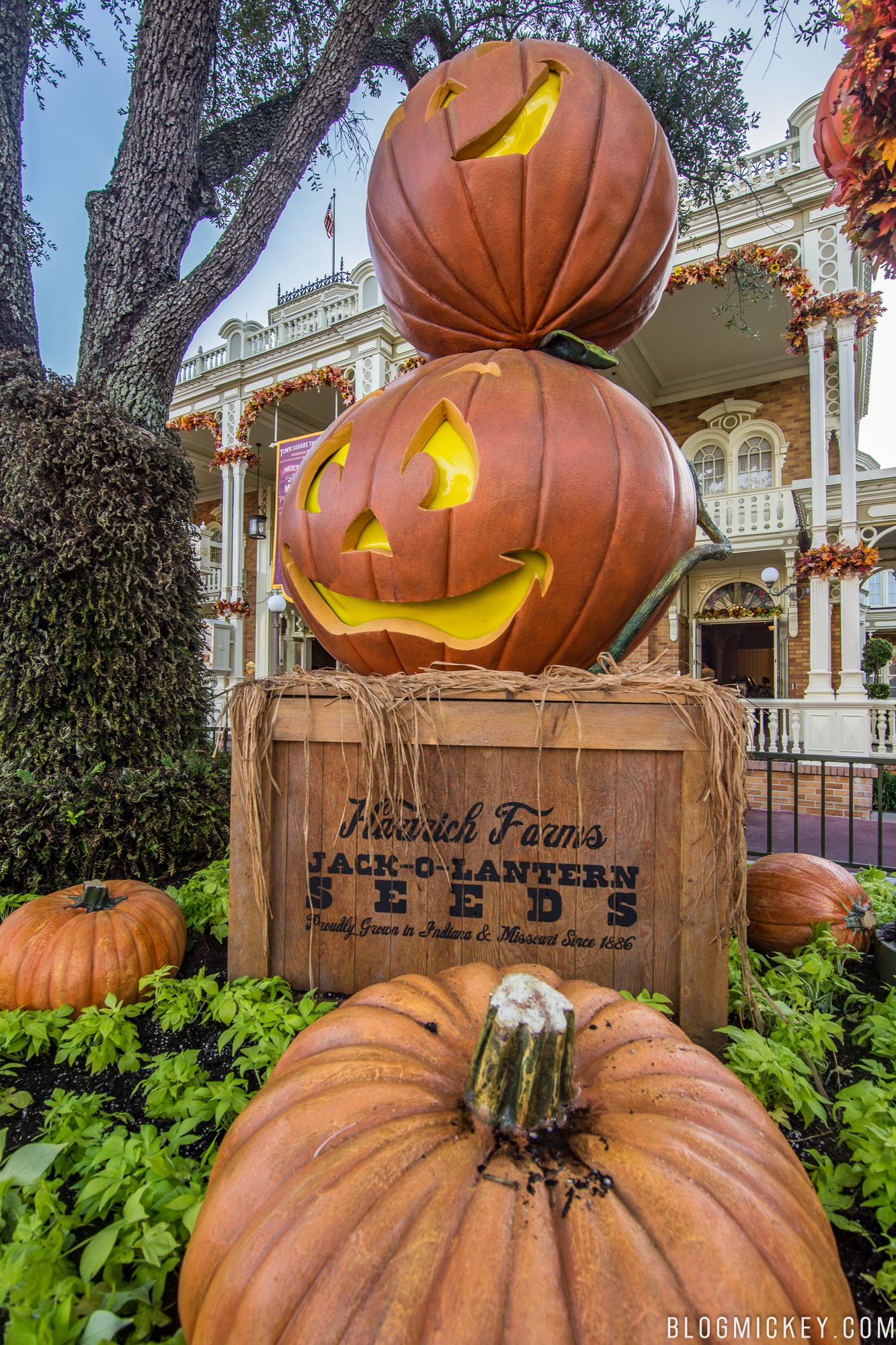 PHOTOS: Halloween Decorations Appear on Main Street USA ...
