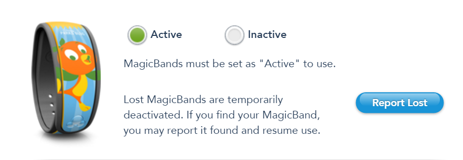 MDE-magicbands-2