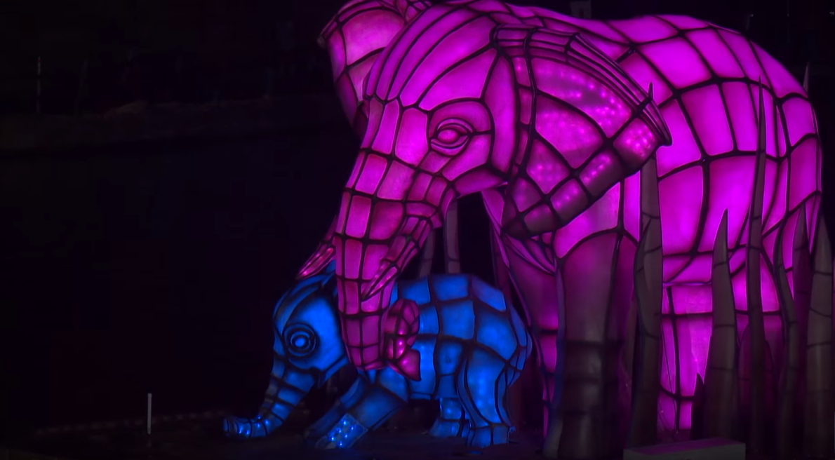 elephants-riversoflight