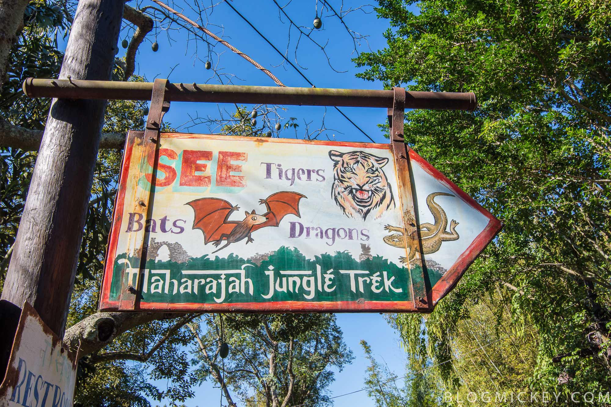 maharajah jungle trek ride