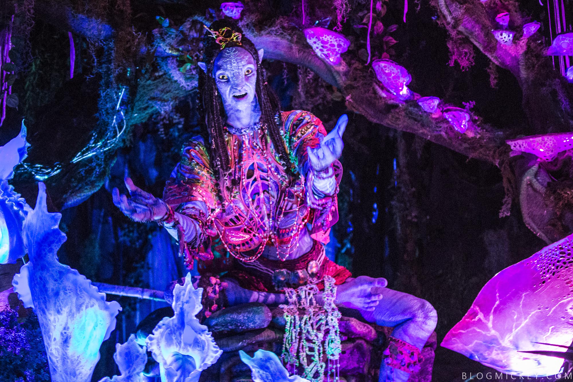 Video Photos Full Ride Through Of Na Vi River Journey In Pandora The World Of Avatar