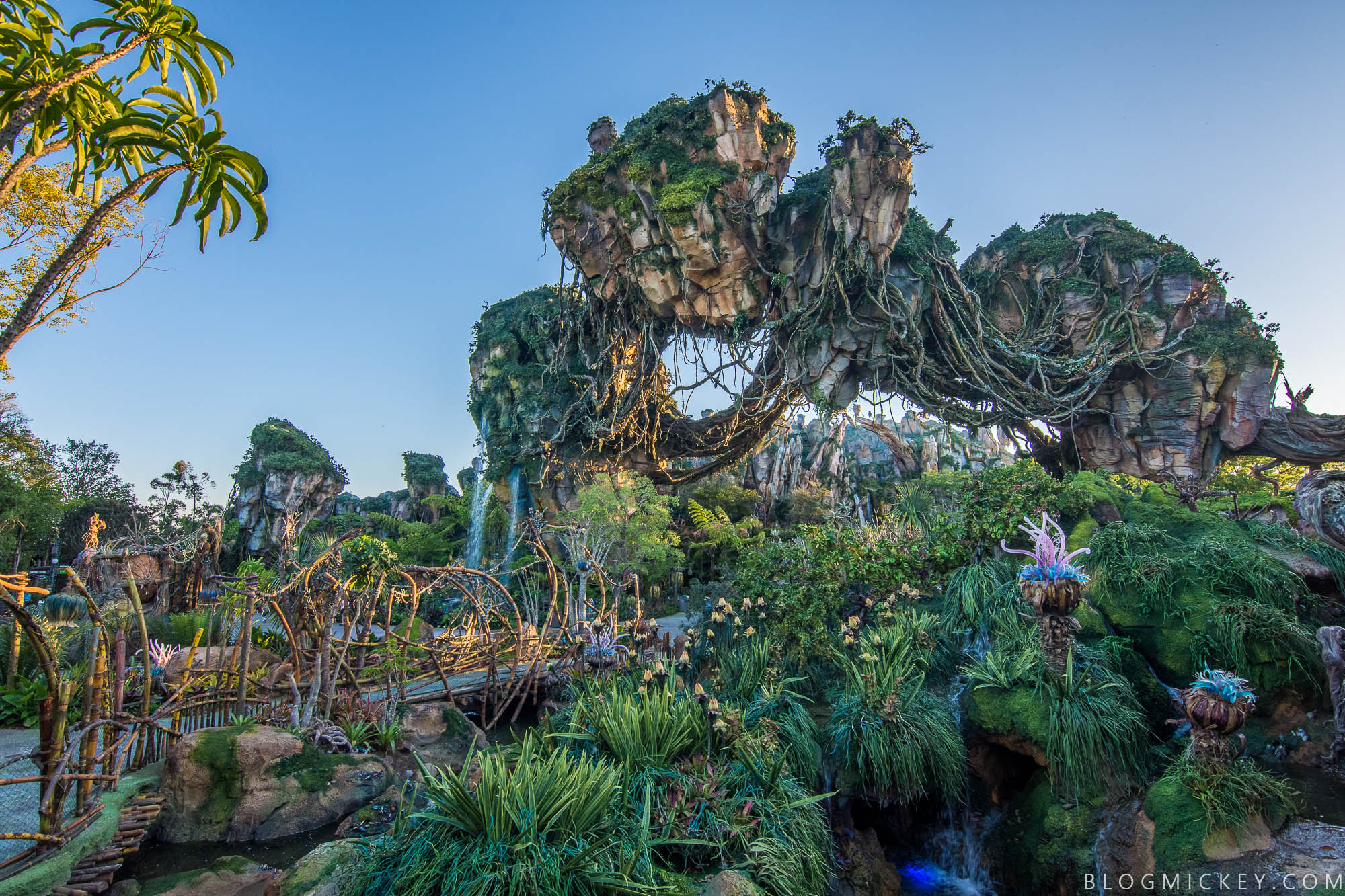 PHOTOS: Look Around the Environment Pandora - The of Avatar