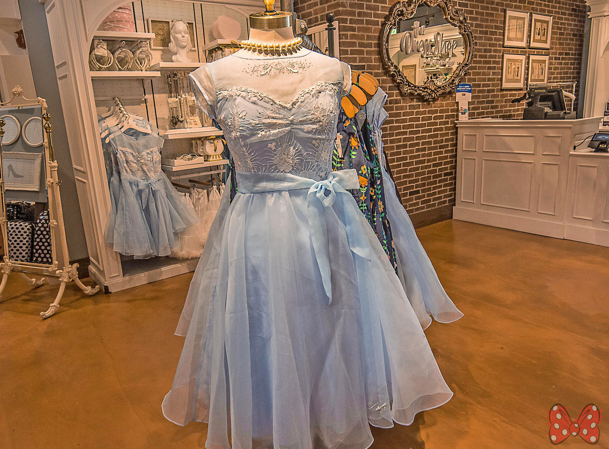NEW Cinderella-Inspired Dress at The Dress Shop
