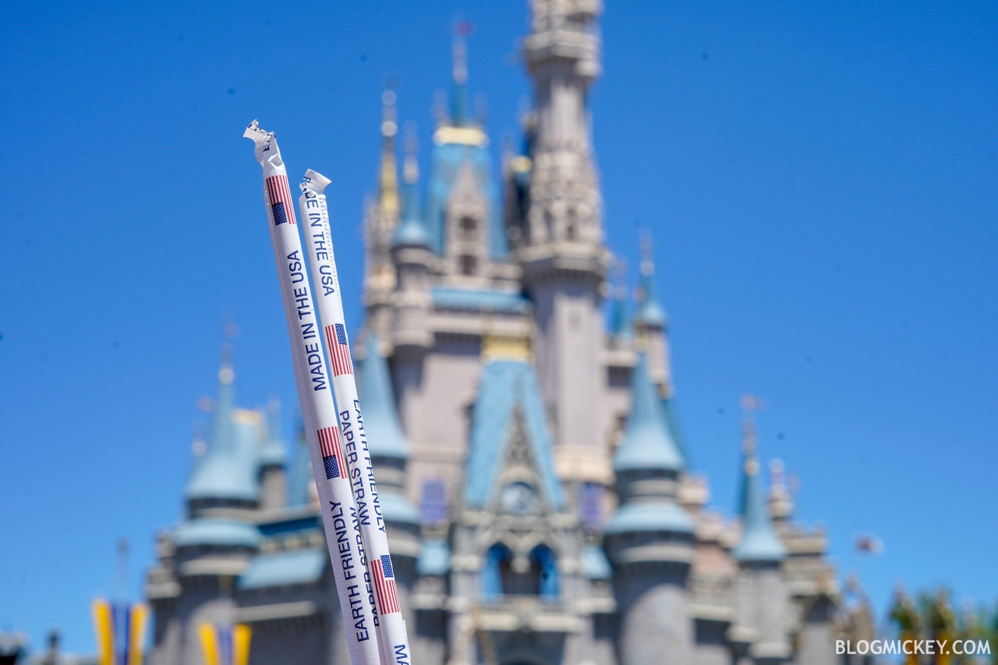 BREAKING: Plastic Straw Ban Now in Effect for Walt Disney World