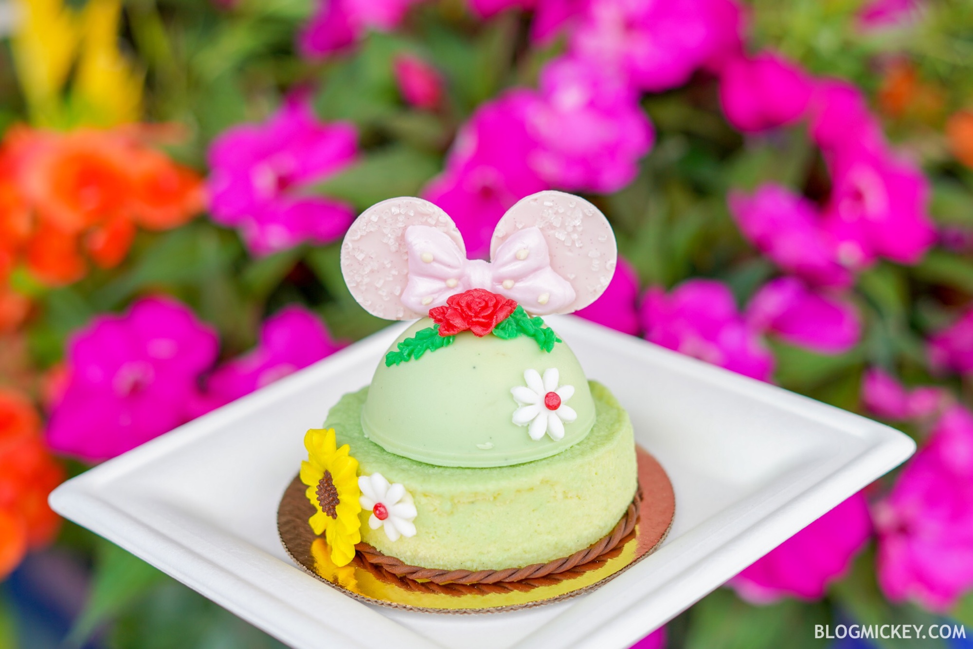 REVIEW LimitedTime Minnie's Garden Party Dessert at Epcot