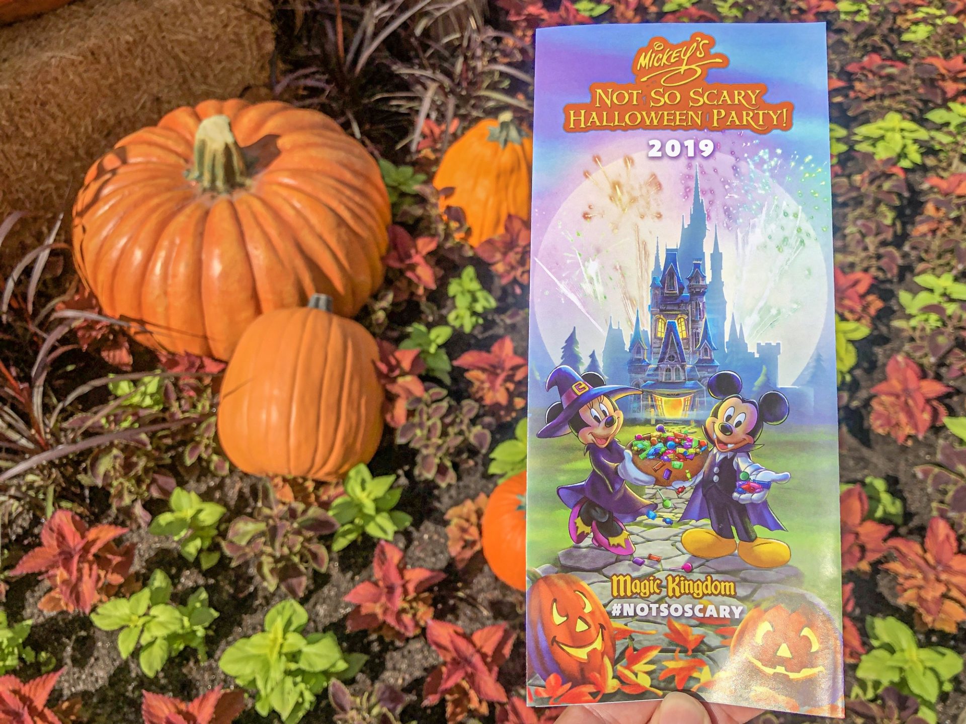 2019 Mickey's NotSoScary Halloween Party Guidemap Released