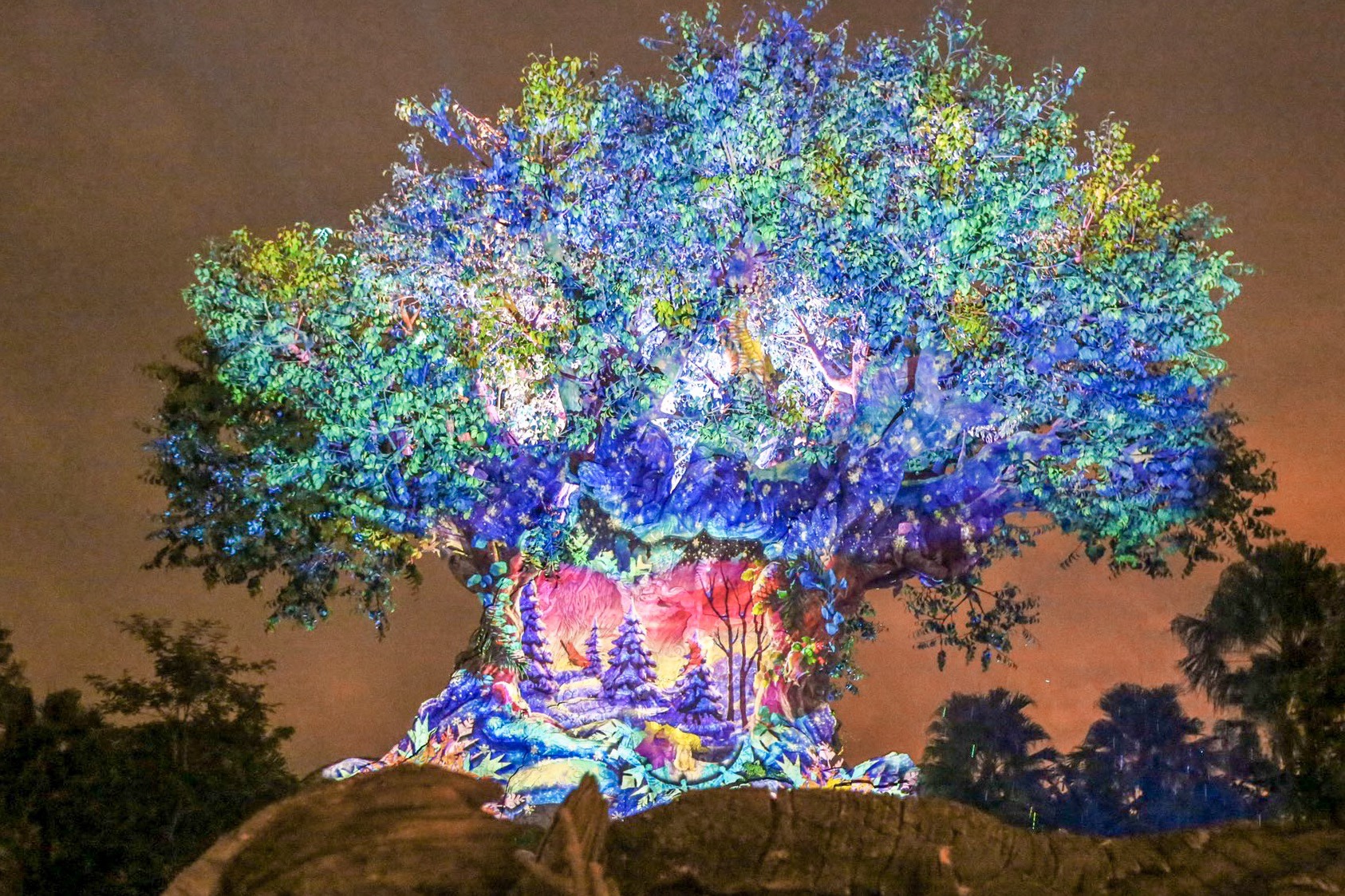 All-New Christmas Tree of Life Awakenings Debut at Disney's Animal Kingdom