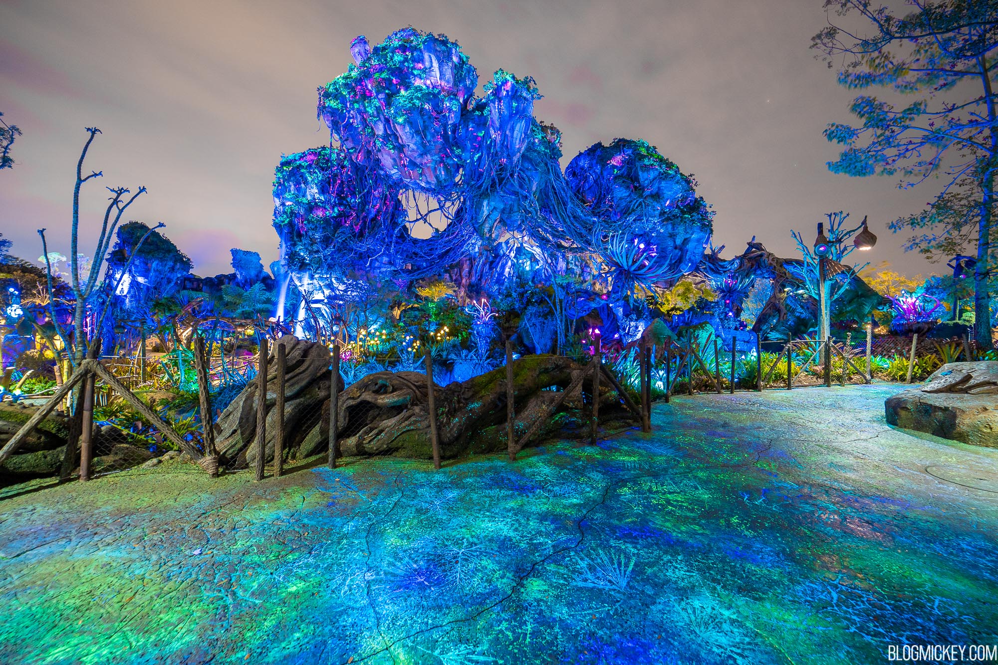 Avatar comes to life at Disneys Animal Kingdom as Pandora welcomes first  paying guests Blooloop