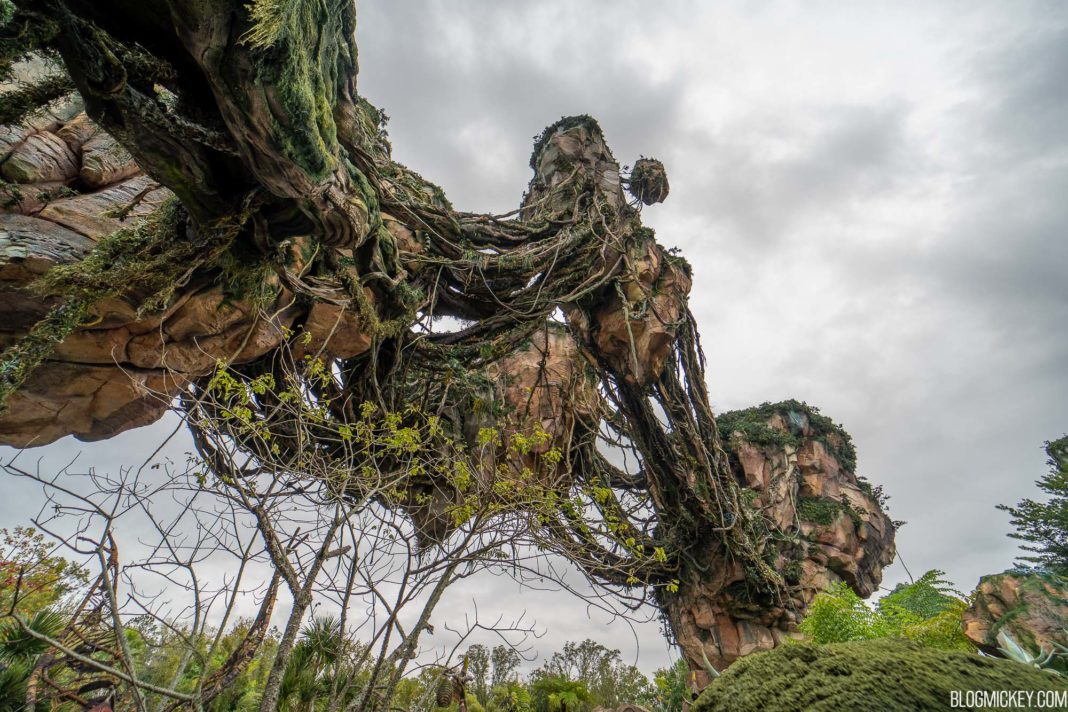 2020 Pandora Flight of Passage Rope Drop Guide (Crowds, Arrival Times