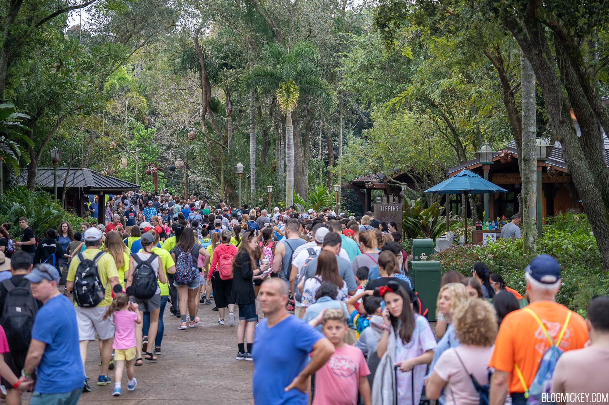 2020 Pandora Flight of Passage Rope Drop Guide (Crowds, Arrival Times, Tips  and Info)