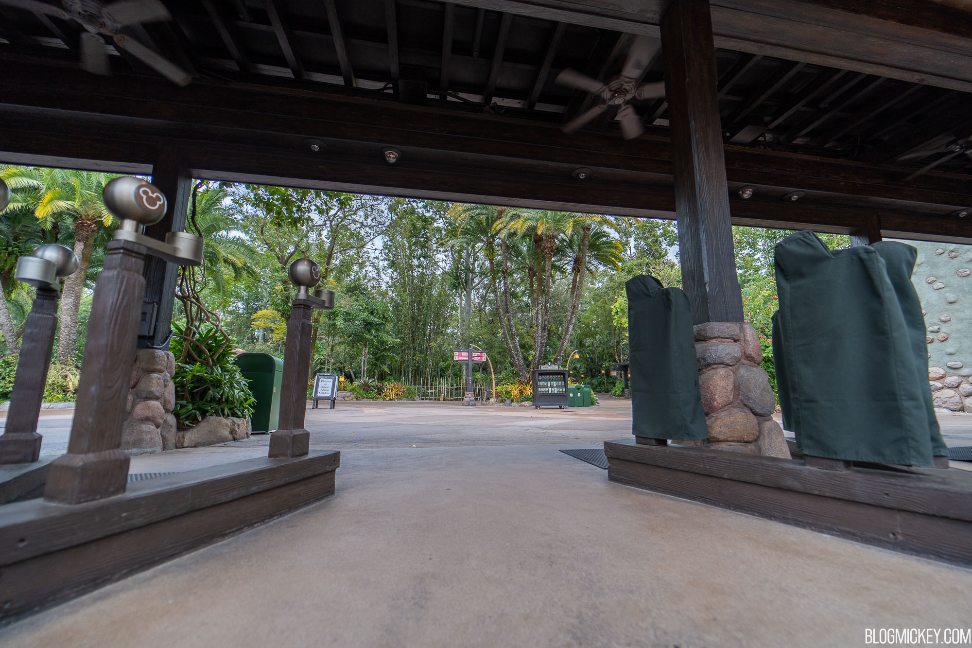 2020 Pandora Flight of Passage Rope Drop Guide (Crowds, Arrival Times