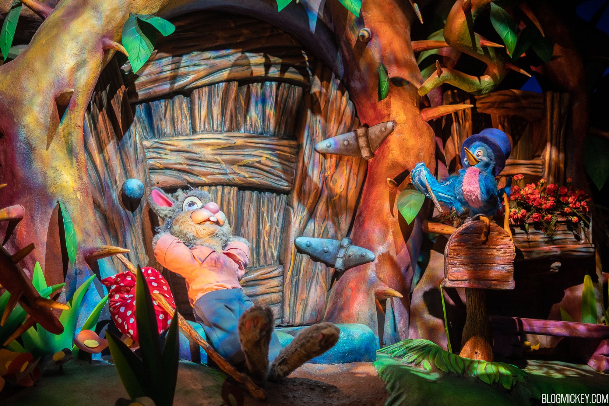 disneyland photo splash mountain