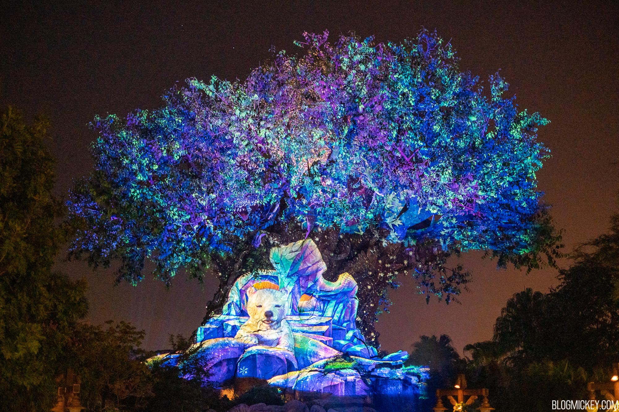 2021 Disney's Animal Kingdom Holiday Guide