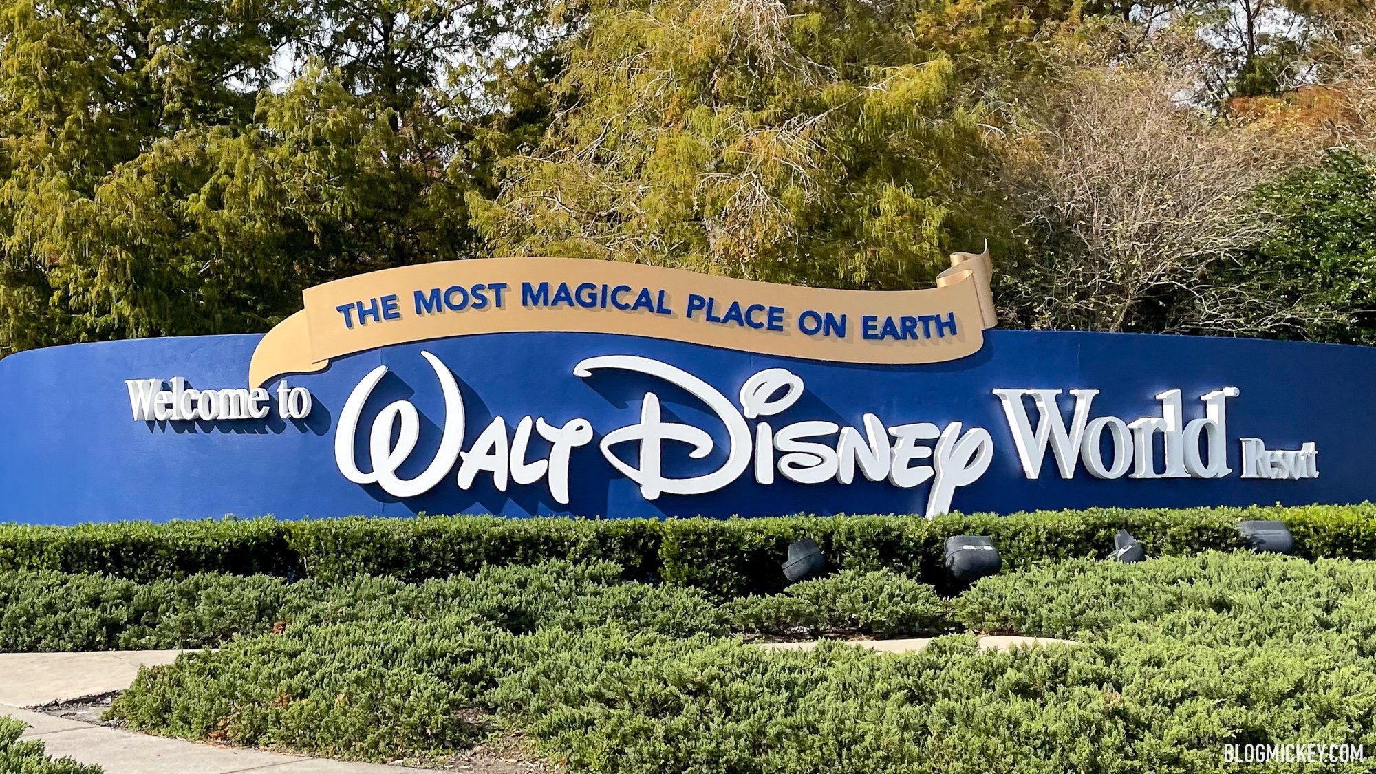 Disney World Cast Members Plan Protest March Against Mandatory Vaccine Policy