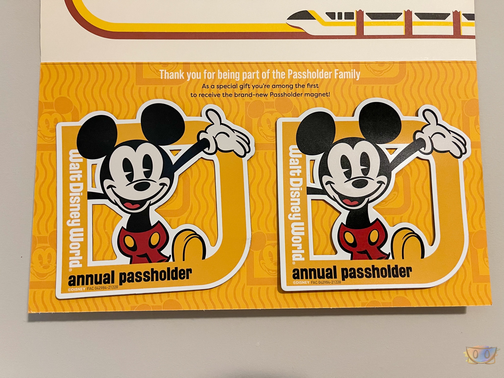 princess tiana Disney Passholder  Magnet