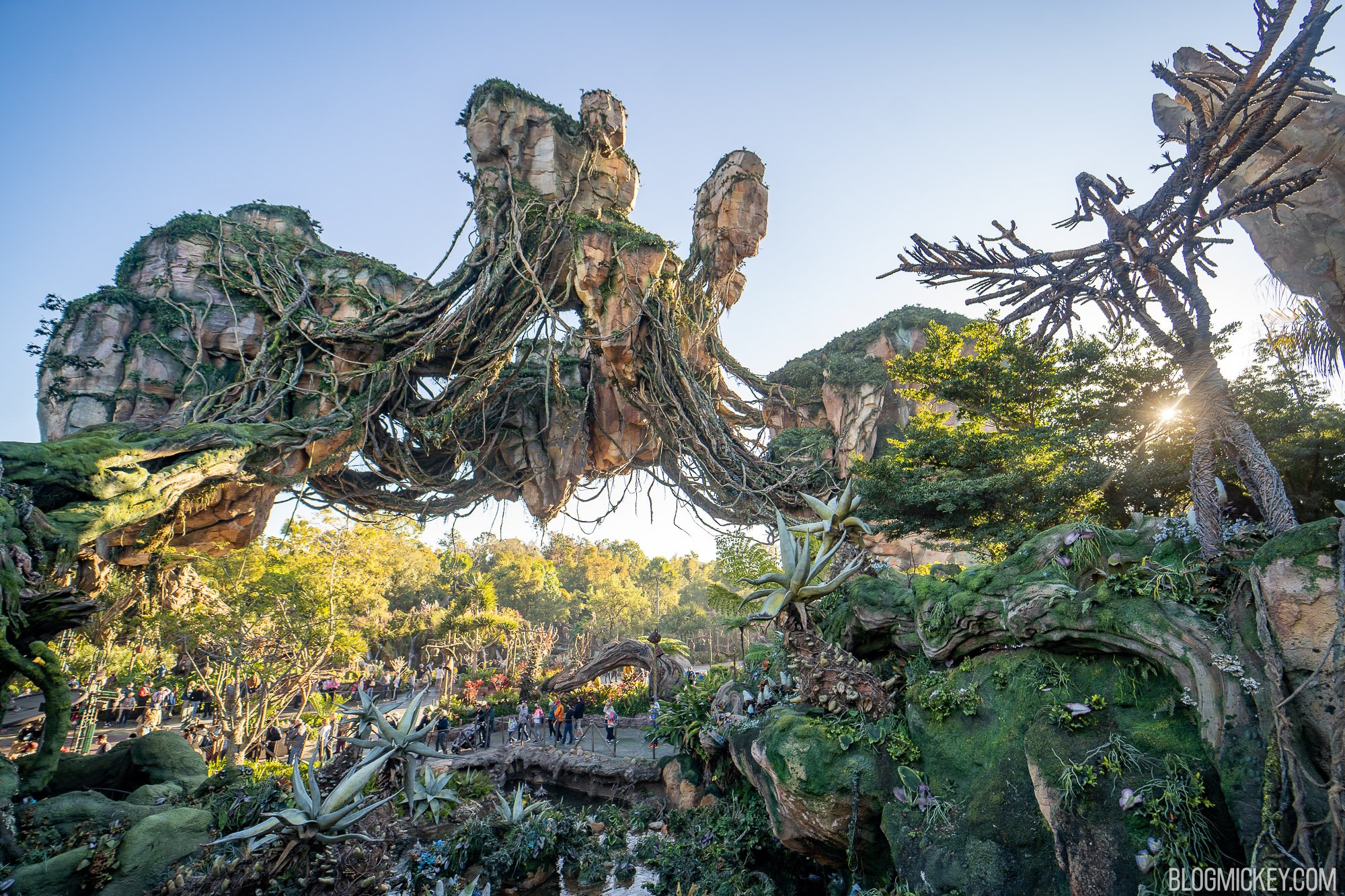 Pandora at Animal Kingdom (Flight of Passage) - WDW Prep School