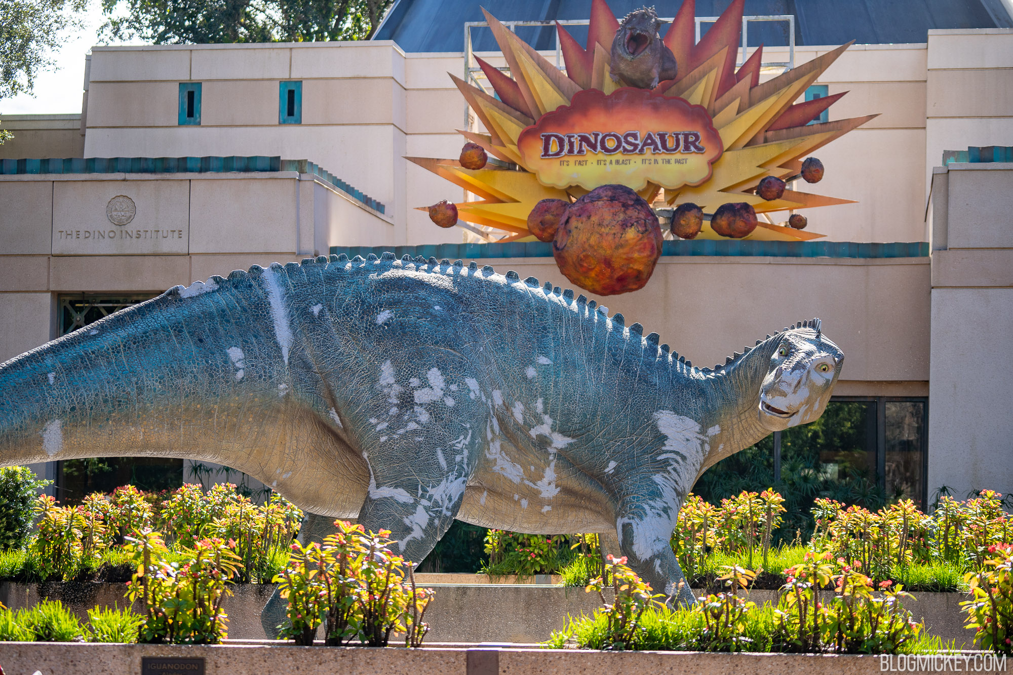 Dinosaur Ride in Animal Kingdom  Disney dinosaur, Animal kingdom disney, Animal  kingdom park