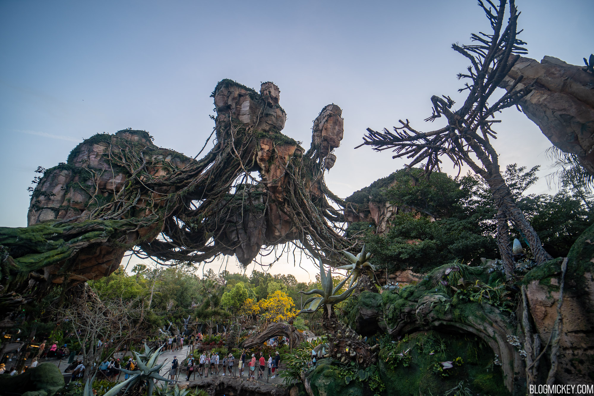7AM Animal Kingdom Early Entry Report: Flight of Passage and Kilimanjaro  Safaris Delayed Opening