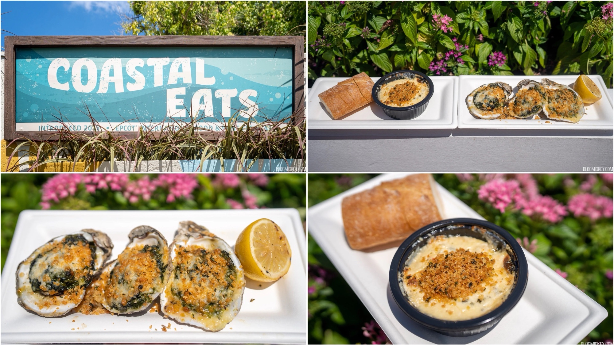 Coastal Eats Booth Review 2022 EPCOT Food and Wine Festival