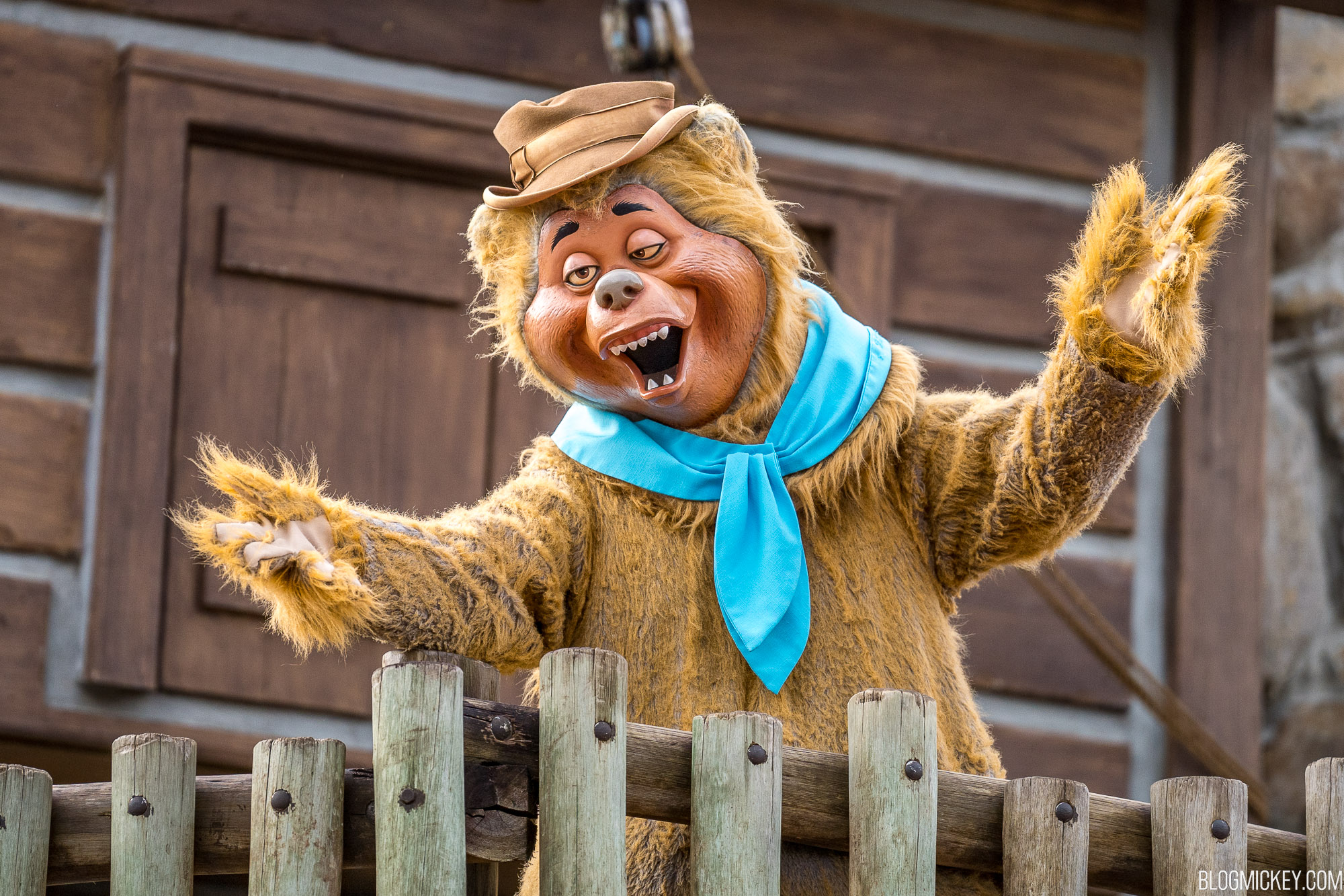 Country Bears Descend From On High to Greet Guests at Magic Kingdom