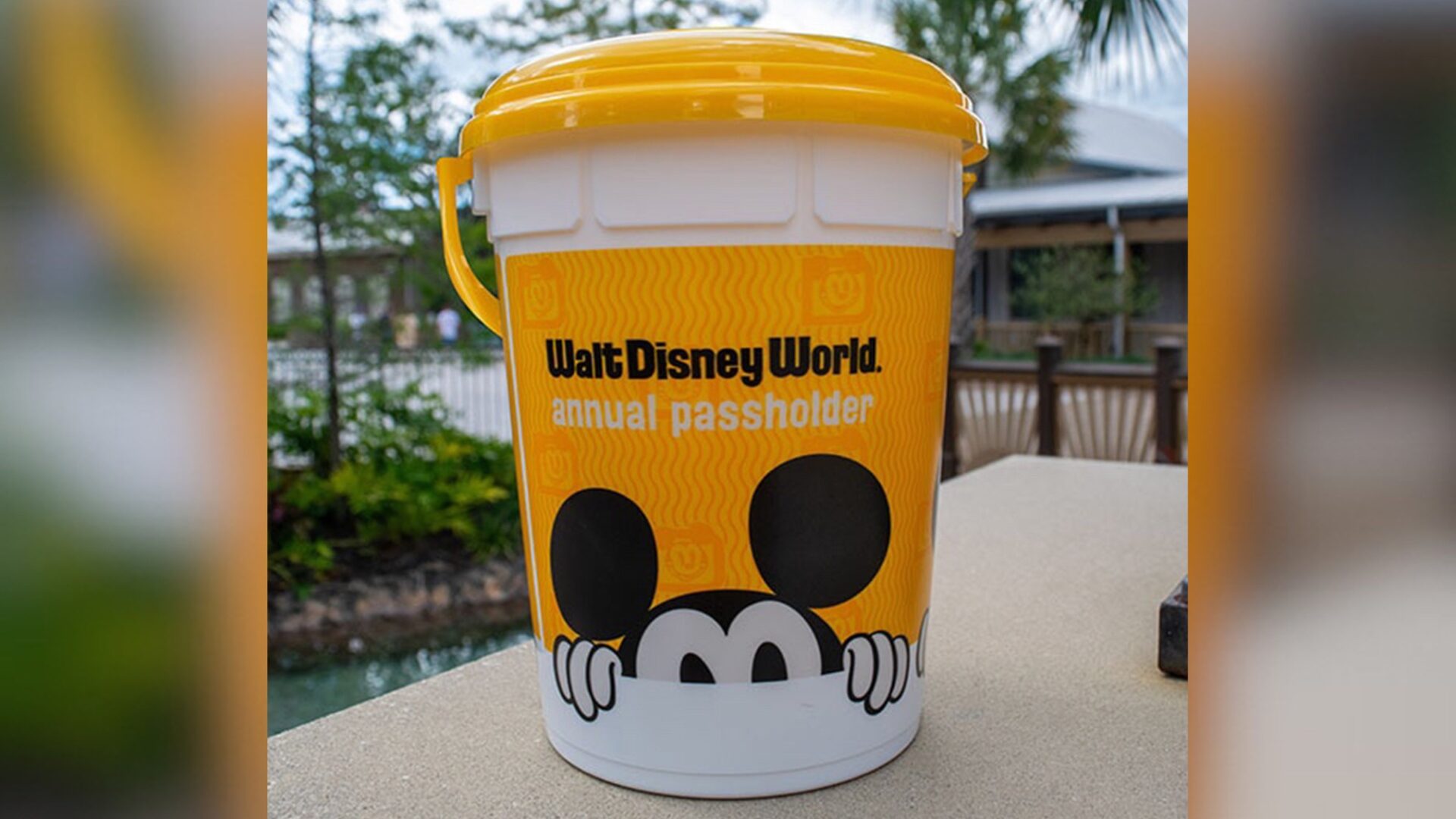First Look at Annual Passholder Exclusive Popcorn Bucket