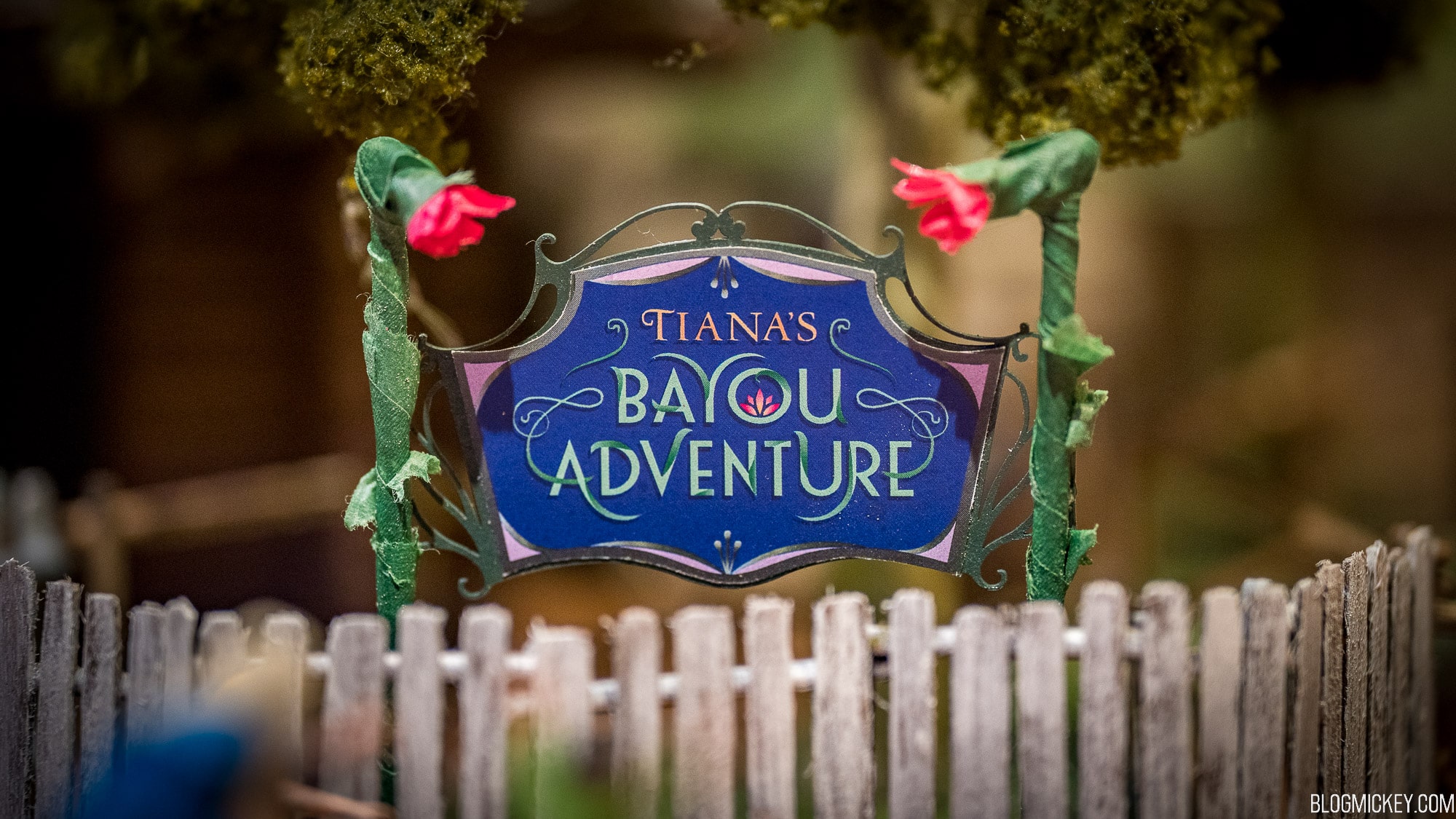 Walt Disney Imagineering Files Permit To Begin Construction of Tiana’s Bayou Adventure at Magic Kingdom