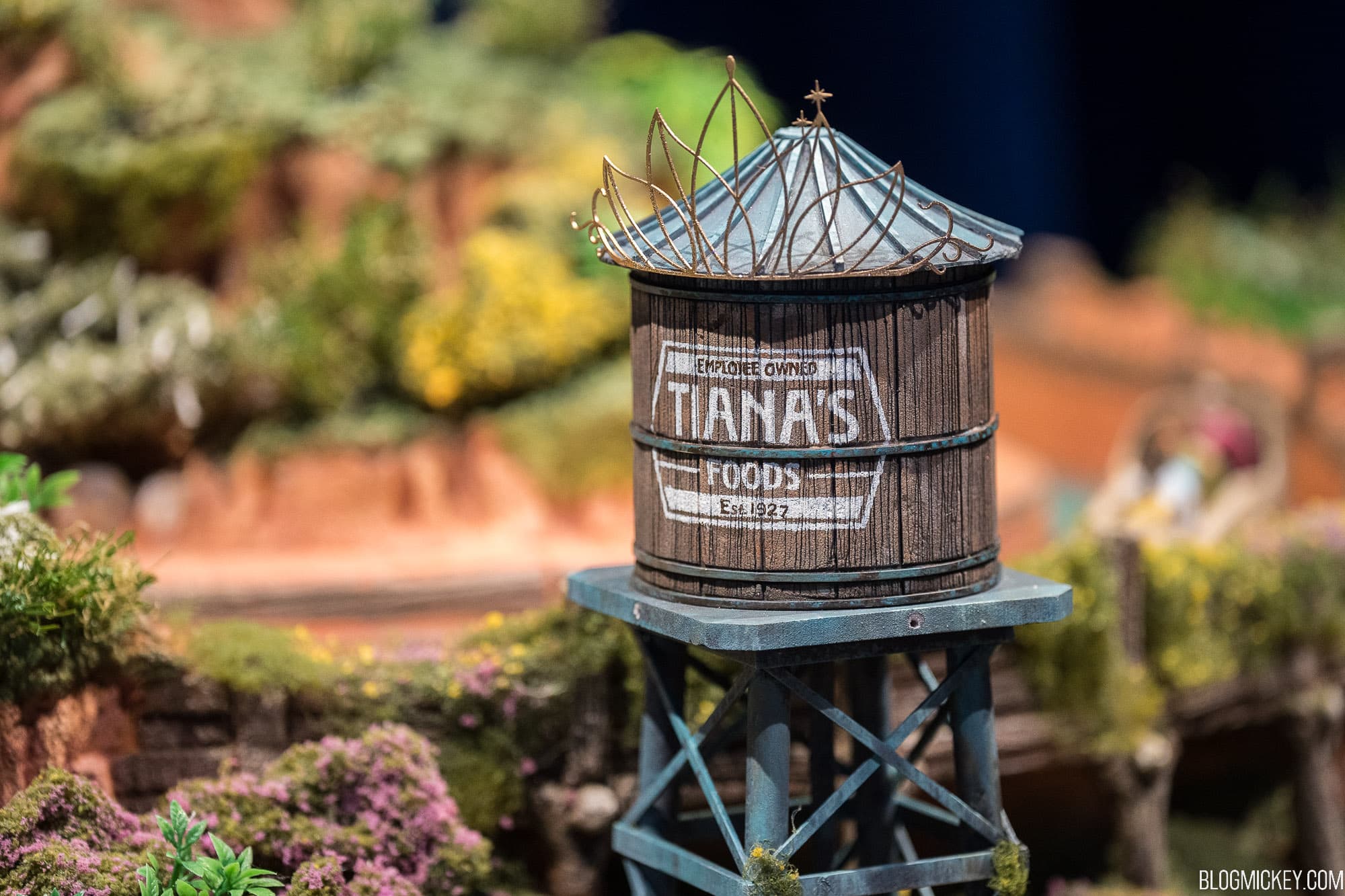 Tiara-Topped Water Tower to be Installed This Summer for Tiana’s Bayou Adventure at Magic Kingdom