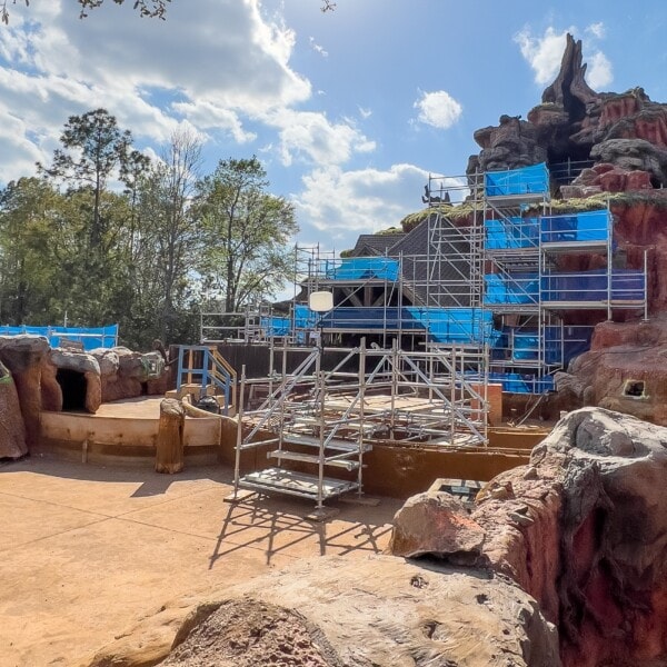Briar Patch Demolished & Large Facade Cut Planned as Construction Continues for Tiana’s Bayou Adventure