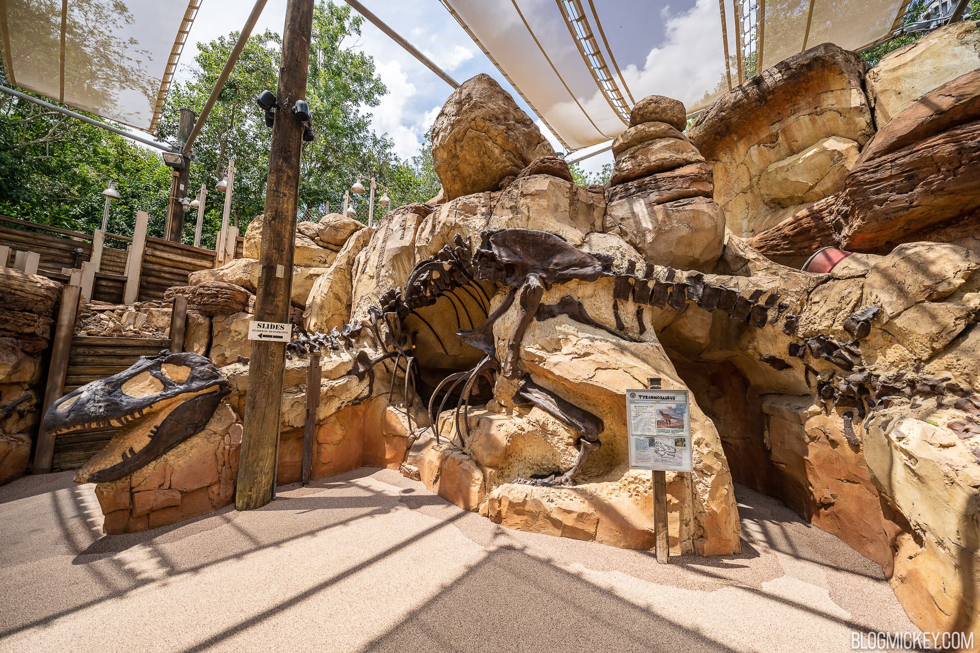 The Boneyard - Animal Kingdom - Disney World