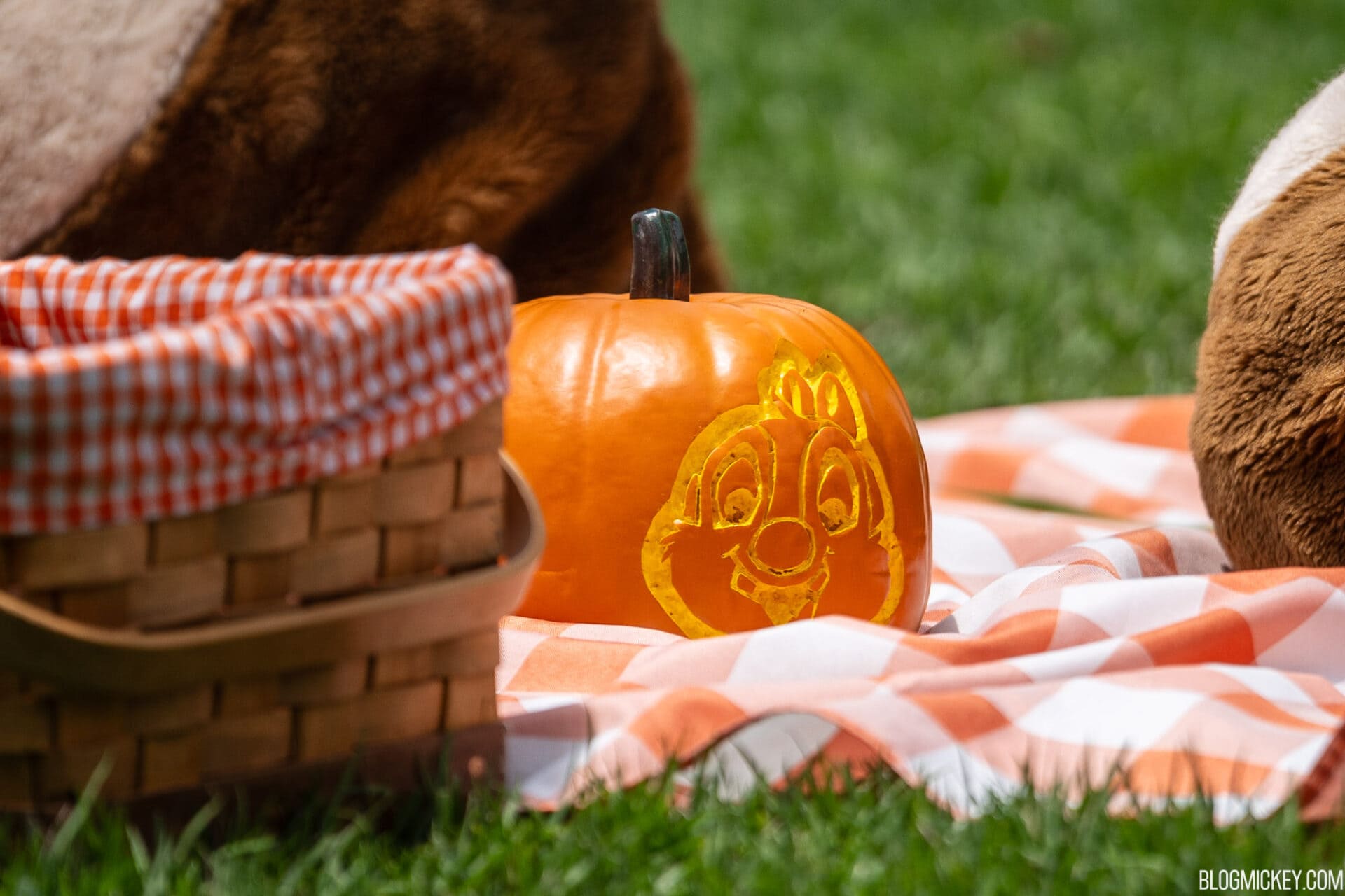 Chip &amp; Dale Trade Rescue Rangers Outfits for Pumpkins As They Celebrate ...