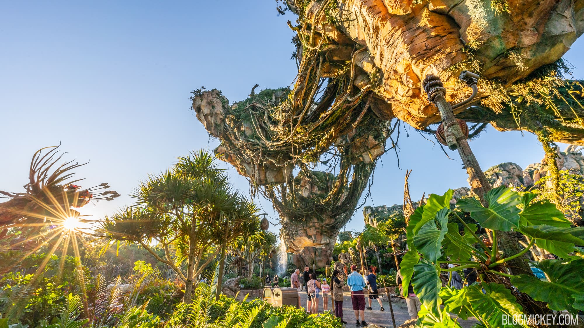 DINOSAUR and DinoLand Attractions to Close Early at Disney's Animal Kingdom  on November 14th and 16th - WDW News Today