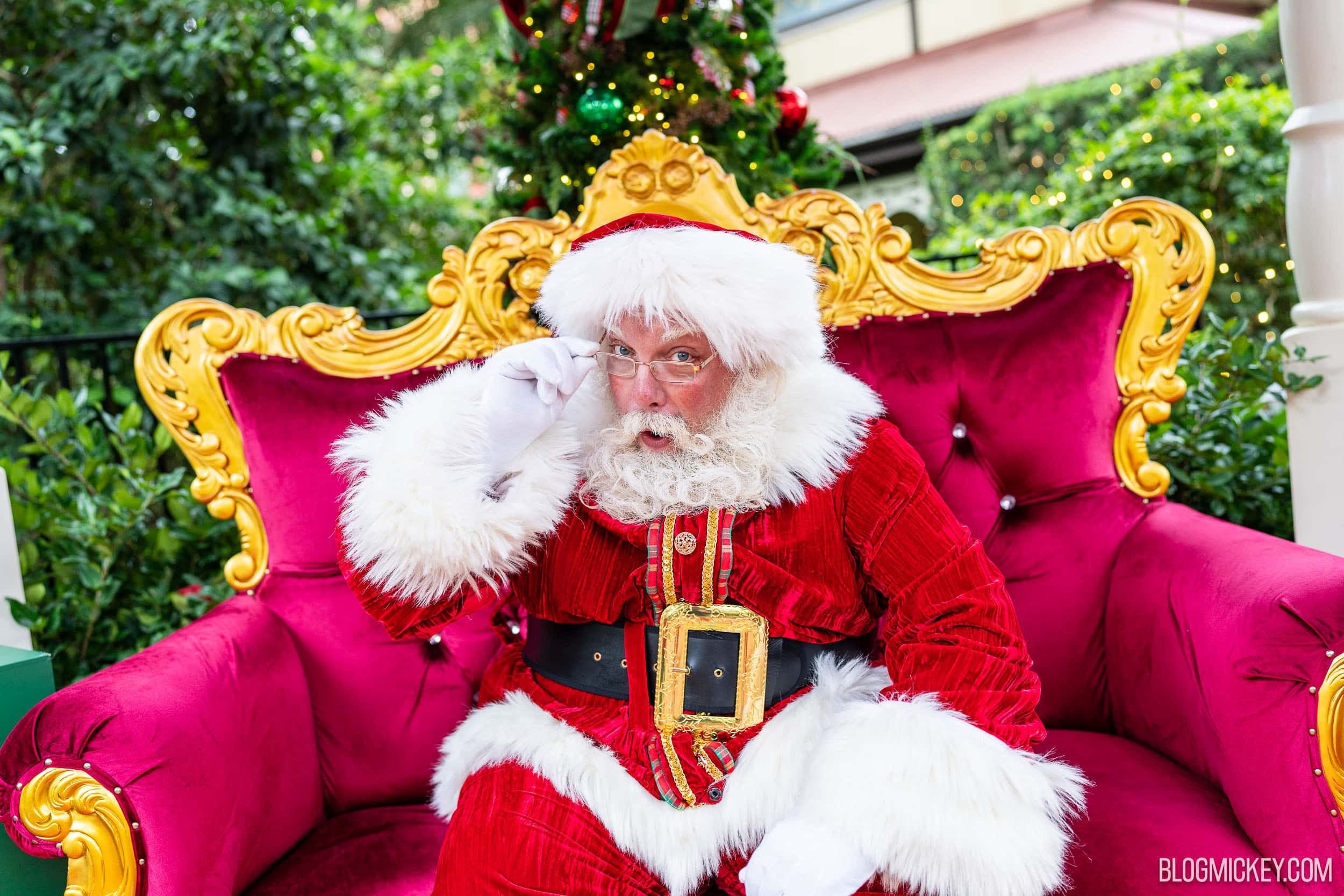 Santa's Holiday Grove: Neue winterliche Santa-Erfahrung in Animal Kingdom
