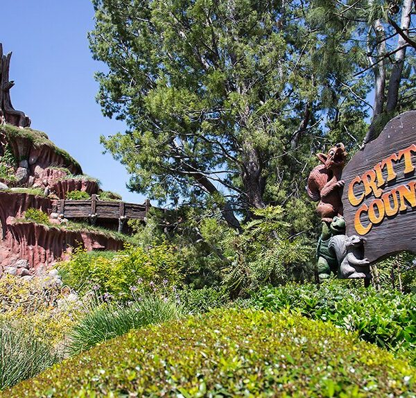 Disneyland to Close Entire Critter Country Land (Temporarily) Starting May 1st for Tiana’s Bayou Adventure Construction
