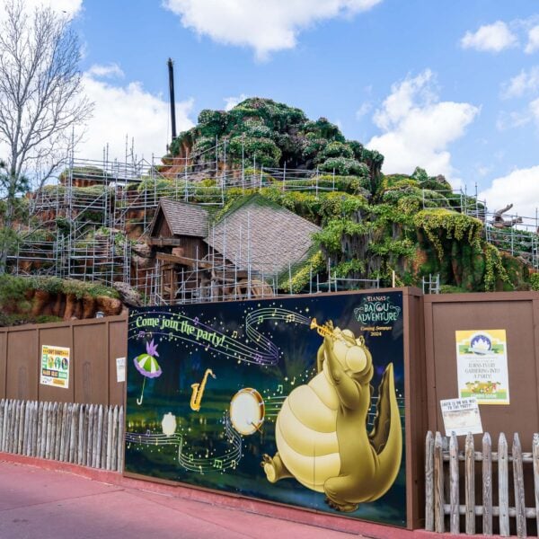 Tiana’s Bayou Adventure Update: Briar Patch Windows Covered, More Greenery Added to Salt Dome
