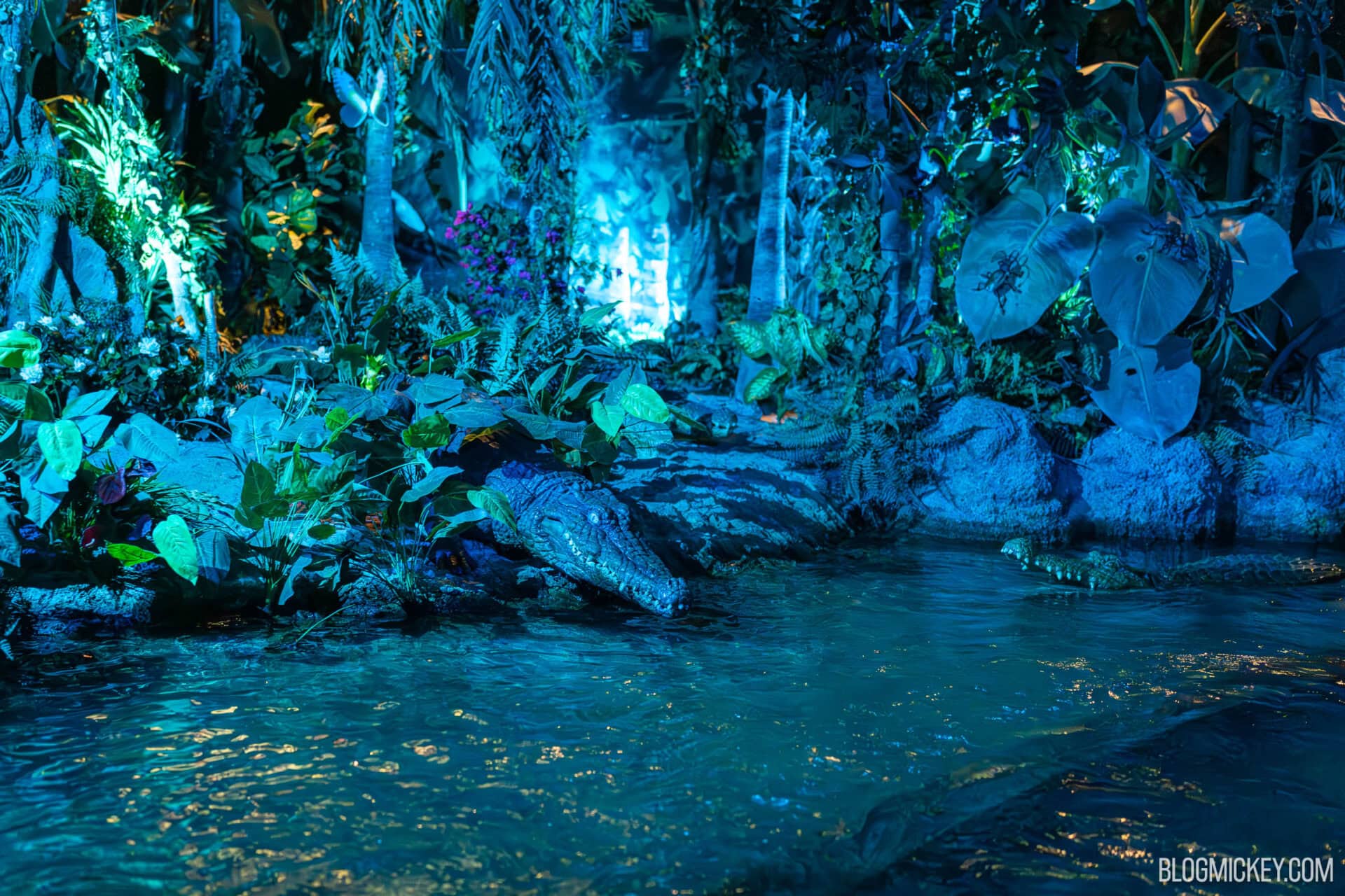 Photo inspiration: Picture Idea: Video Photos Updated Lighting Illuminates Rainforest Scene In Living