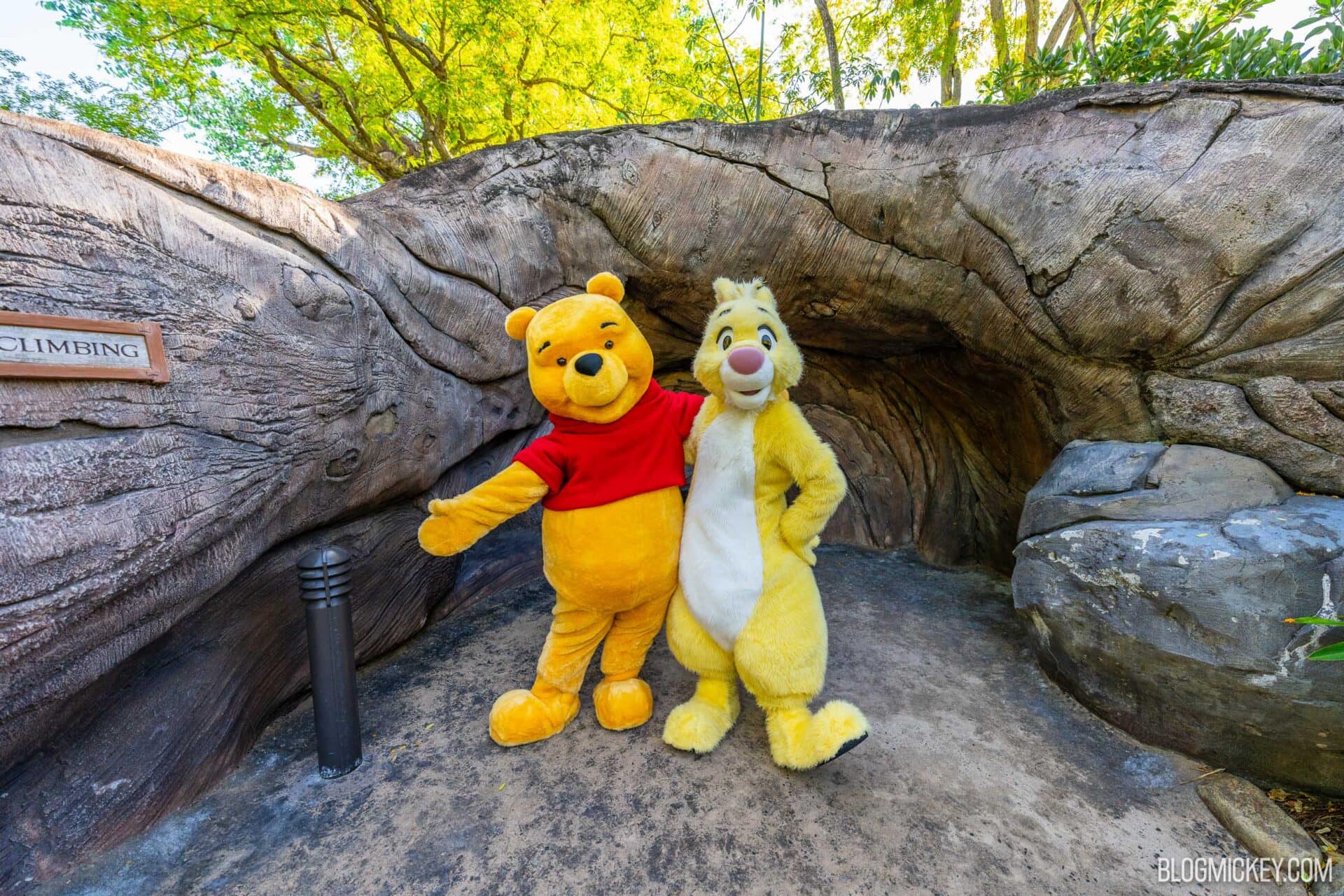 Pooh Hello Rabbit Earth Week Character Meet & Greets Continue with Winnie the Pooh and ...